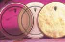 Remo Drum Heads