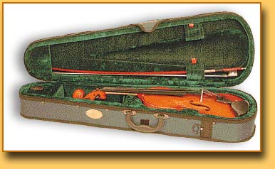 Stentor Standard Violin Outfit