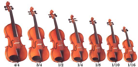 Violins range in size from full size down to 1/16